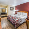 Отель Red Roof Inn Chattanooga - Lookout Mountain, фото 4
