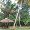 Отель Surf Bay Villa, фото 25