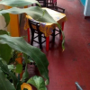 Отель Hostal Casa Amarilla - Hostel, фото 18