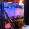 Отель Casa Trilhas De Igatu - Chapada Diamantina - Bahia, фото 7