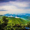 Отель Moganshan Mu Xi Stone Color Homestay, фото 4