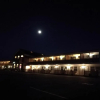 Отель Lauries Motor Inn, фото 1