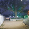 Отель Kumbh Luxury Tents, фото 13