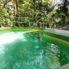 Отель Paradise Inn, фото 40