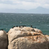 Отель Boulders Beach Villa, фото 15