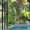 Отель Las Sabilas Guest House, фото 4