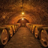 Отель Kolar Wine Cellars, фото 2