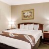 Отель Quality Inn & Suites Tarpon Springs South, фото 22