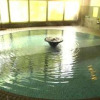 Отель Yudanaka Onsen Hakuunro Ryokan, фото 10