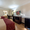 Отель Red Roof Inn & Suites Clinton, TN, фото 7