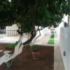 Отель Sunhouse Vrachati, фото 12