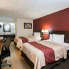 Отель Red Roof Inn PLUS+ St Louis - Forest Park/ Hampton Ave, фото 16