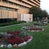 Отель Royal Tulip Alrasheed Hotel в Багдаде