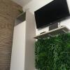 Отель Charming Elise- apartment close to Central Station в Милане