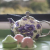 Отель Rustic Retreat at Ruskin, фото 14