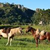 Отель Fazenda Pedras Brancas, фото 10