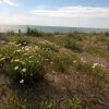 Отель Azalea 7 3 in Marina di Castagneto Carducci, фото 19