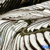 Отель Floral Hotel·Longshengyue Shangshanshe Inn (Longji Terrace Jiulong Wuhu Observation Deck), фото 12