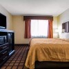 Отель Quality Inn Monee I-57, фото 10