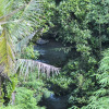 Отель Amora Ubud Boutique Villas, фото 27