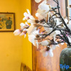 Отель Floral·Wutai Mountain Yi'an Boutique Hotel(Wuye Temple), фото 19