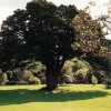 Отель Charming Yurt in Kelburn Estate Near Largs, фото 4