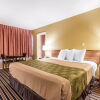 Отель Econo Lodge Inn & Suites, фото 13