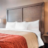 Отель Comfort Inn & Suites, фото 4