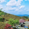 Отель Moganshan·Original Jie Mountain Viewing Sea of Clouds B&B, фото 14
