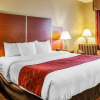 Отель Comfort Suites, фото 4