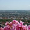 Отель Fenyves Panorama, фото 7