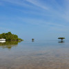Отель Eco Resort Sumba Dream, фото 14