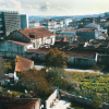 Отель Peach Hostel & Suites, фото 20