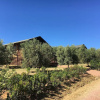Отель Tenuta Poggio Rosso Glamping, фото 10