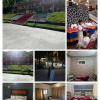 Отель Shelton Inn, фото 2