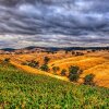 Отель Queen's Cottage Bed and Breakfast Barossa Valley, фото 14