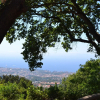 Отель Holiday Time Sorrento, фото 15