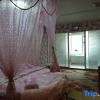 Отель Bailu Hotspring Hotel, фото 8