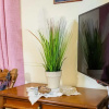 Отель Niko s Family Haven - Lagouvardos Olive Grove, фото 12