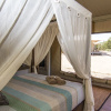 Отель Dubbo Rhino Lodge, фото 31
