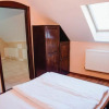 Отель Pension La Cetate, фото 30