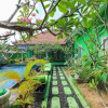 Отель The Green Groves Hostel, фото 16
