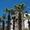Отель X Life Hotel Sarıgerme, фото 1