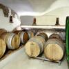 Отель Weingut Pugl Josef, фото 13