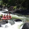 Отель Jackaroo Treehouse Mission Beach - Hostel, фото 34