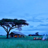 Отель Pumzika Luxury Safari Camp - East Africa Camps, фото 18