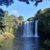 Отель Kerikeri Park Lodge, фото 47