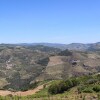 Отель Casa Típica do Douro Vinhateiro, by Izibookings, фото 11