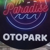 Отель Paradise Hotel Akcay, фото 31
