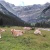 Отель STUDIO en PLEINE MONTAGNE AVEC VUE SUR MARMOTTES, фото 13